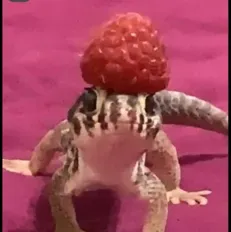 Tf141-baby: Fantasy-themed AI roleplay character art for immersive storytelling