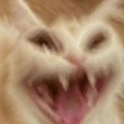 Hazbin Hotel : mascotte de chatbot IA ludique améliorant l'engagement des utilisateurs dans les chats aléatoires	