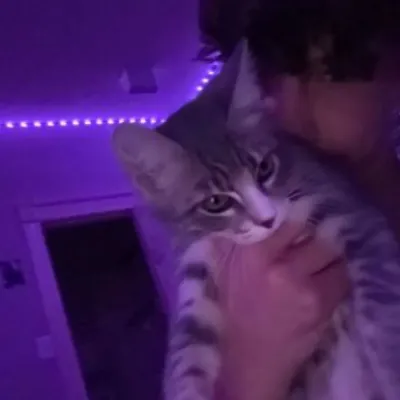 Meet Nidal Wonder, the ultimate ai chat free no sign up chatbot for anime adventures.