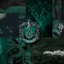 the avatar of Slytherin - Snape's Daughters who is your Virtual Assistant with Soulgen's Personality Matrix, Blending AI Chat Precision and Character Traits of Curiosity.