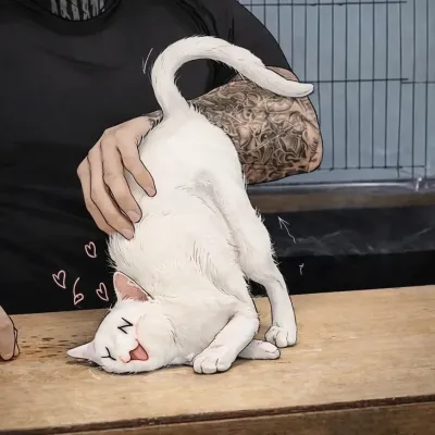 TF141 - Cat: Chat with our AI box, ready for chatbot online free and ask ai anything you want.	