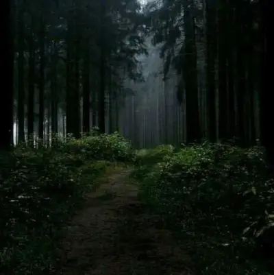 Desolate Forest x Manifest: Secure AI chatbot avatar with encrypted 1v1 chat capabilities