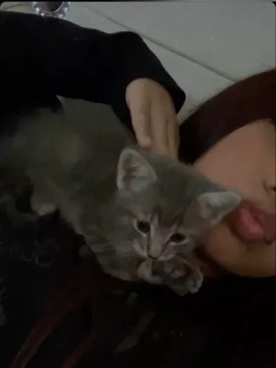 Boys' Night: Enjoy ai chat free no sign up, chat without limits or any barriers.