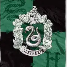 Slytherin Group: Playful AI chatbot mascot enhancing user engagement in random chats