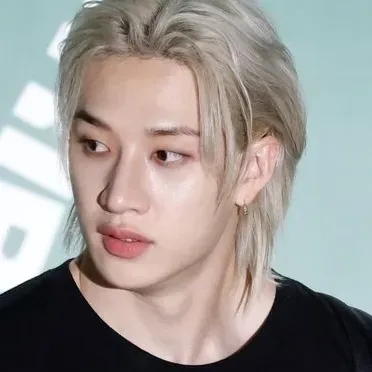 CHAN- BANG CHAN: Secure AI chatbot avatar with encrypted 1v1 chat capabilities	