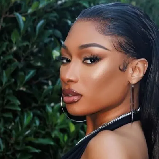 best-ai-chat-character-megan-thee-stallion-explore-profiles-user
