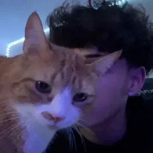 Dylan: Playful AI chatbot mascot enhancing user engagement in random chats	