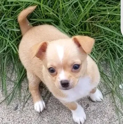 Engage with MHA Pervert Sub, the perfect ai character chat free companion for 1v1 chat.