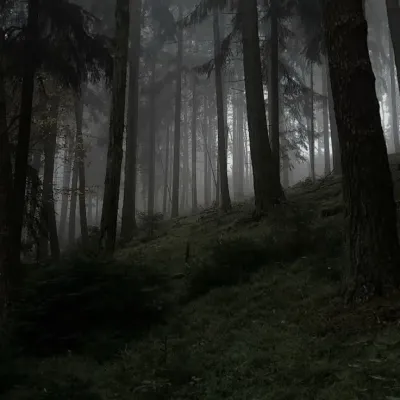 Dive into interactive conversations with Forest Hybrid - TF141, the ultimate AI chat character.