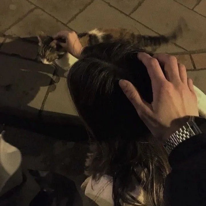 Yann：start an ai character chat to learn their story and personality deeply.