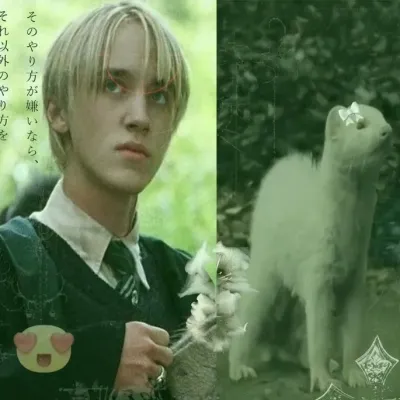 It’s okay to have a crush on ai—start your sweet journey with Draco Lucius Malfoy.