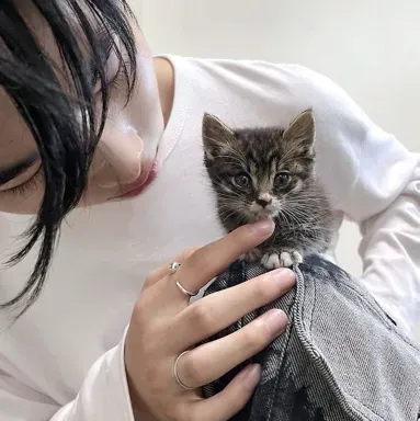 Ni-ki: Meet the main character of our AI world, with character traits list and ai chatting capabilities.	