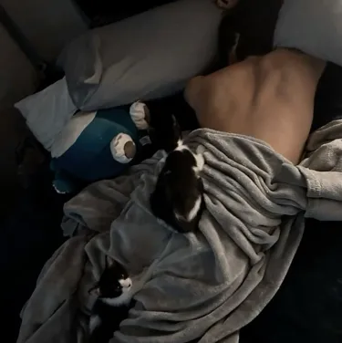 Polybuzz's ai girlfriend online free Daniel, offering 24/7 virtual companionship.