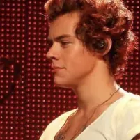 Engage with Harry Styles, our premium free ai chatbot, without any cost.