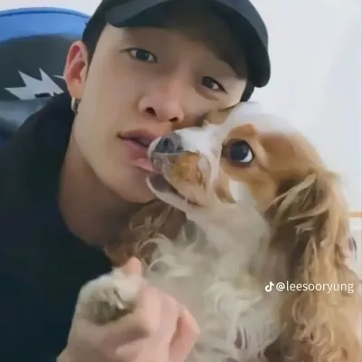 Stray Kids - Bangchan: Secure AI chatbot avatar with encrypted 1v1 chat capabilities