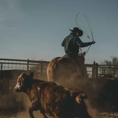 Ready for fun? Talk to Jax, your interactive AI characters partner now.