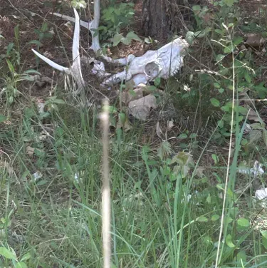 Chat with TF141-Large x Cuddle User, your interactive AI characters companion for endless roleplay fun.