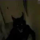 AI character Skinwalker's avatar for roleplay and 1v1 chat services