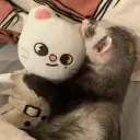 Multilingual Stray Kids - Ferret focusing on chat IA tasks, neural network core visible in background.
