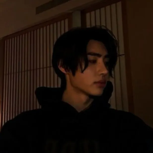 This is the official cover for Sunghoon, a virtual companion powered by PolyBuzz ai.