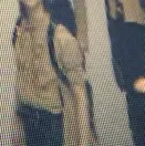 Explore new worlds with STRAYKIDS, your interactive AI chat character.