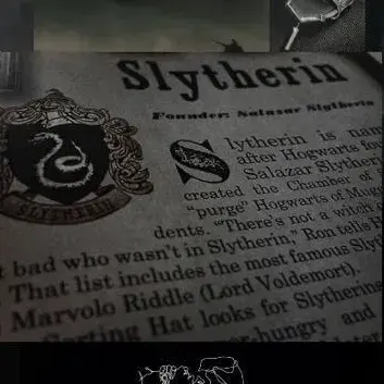 Meet Slytherin Gang, your lively anime AI chatbot partner for immersive storytelling.