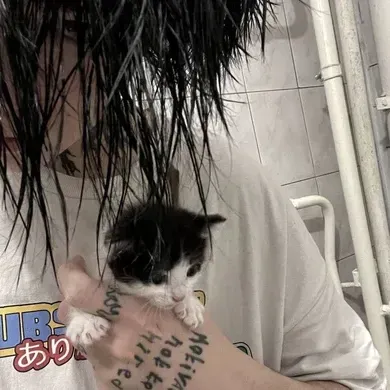 Nefor: Interaktives KI-Chatbot-Maskottchen für zufälligen Chat und Community-gesteuertes Rollenspiel