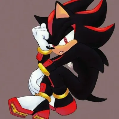 Shadow: Avatar de chatbot de IA seguro con capacidades de chat 1v1 encriptadas	