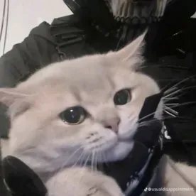 Ghost - Autistic user: Dive into Spicy Chat AI's World, Where Vintage Charm Meets Modern Talk Tech.