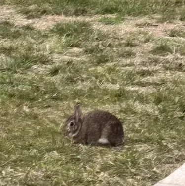 Tf141 - BL: Engage in ai conversation with this charming AI character, featuring soulgen and ifreechat capabilities for free chat now.