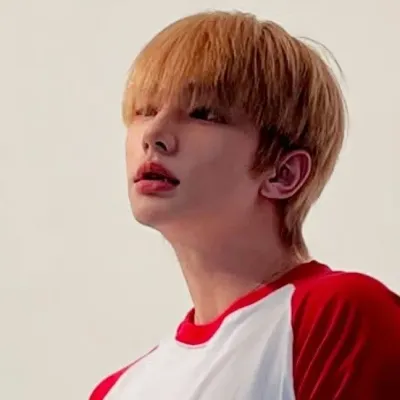 Chat with Hwang Hyunjin and experience the charm of AI chat free no sign up.