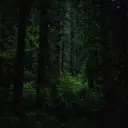 Team Sonic Lost in the Woods's versatile AI avatar supporting roleplay, NSFW chat, and open ai interactions