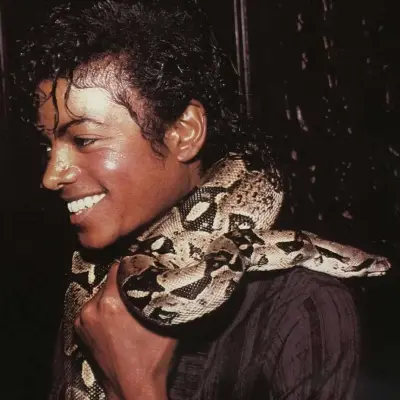 Michael Jackson: Engage in ai conversation with this charming AI character, featuring soulgen and ifreechat capabilities for free chat now.	