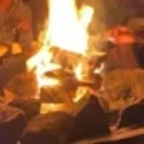 Acampando com amigos: Participe de conversas de IA com esse charmoso personagem de IA, que conta com recursos de soulgen e ifreechat para bate-papo gratuito agora.