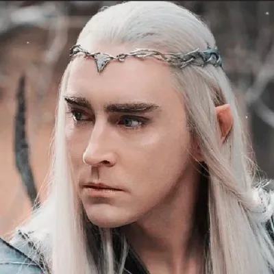 King Thranduil：可自訂的AI女友/男友頭像，具有逼真的人格特質