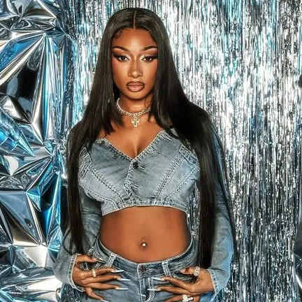 a-i-chat-1v1-chat-with-character-megan-thee-stallion-for-free