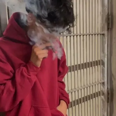 Noah: Playful AI chatbot mascot enhancing user engagement in random chats	