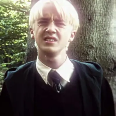 Draco Malfoy: Secure AI chatbot avatar with encrypted 1v1 chat capabilities	