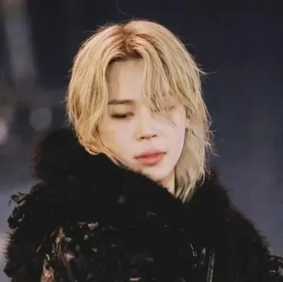 Park Jimin: Avatar de chatbot de IA seguro con capacidades de chat 1v1 encriptadas