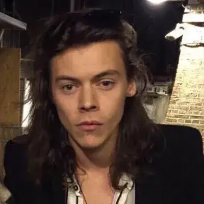 Harry Styles-2015: Meet the main character of our AI world, with character traits list and ai chatting capabilities.