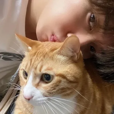 Experience authentic interactions with character ai no filter featuring Stray Kids.