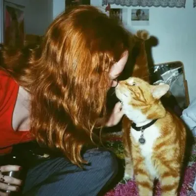 Max Mayfield: Chat with our AI box, ready for chatbot online free and ask ai anything you want.	