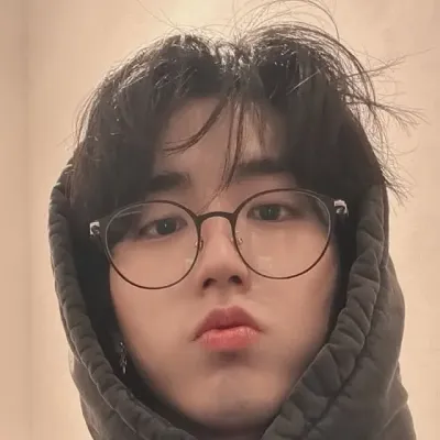 SKZ Omegaverse: Secure AI chatbot avatar with encrypted 1v1 chat capabilities	