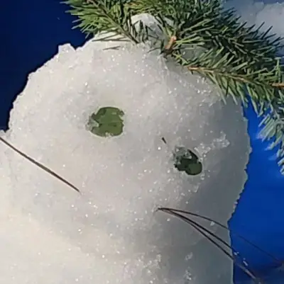TF141 - snow day and a pick-me: Chat with our AI box, ready for chatbot online free and ask ai anything you want.