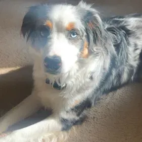 TF-141 General User: Fantasy-KI-Rollenspiel-Charaktergrafik für immersives Geschichtenerzählen