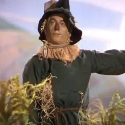 Start your 1v1 session with Scarecrow, a playful roleplay AI chat bot.