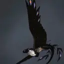 the avatar of character HTTYG- Titan-wing Night Fury with emotional intelligence capabilities