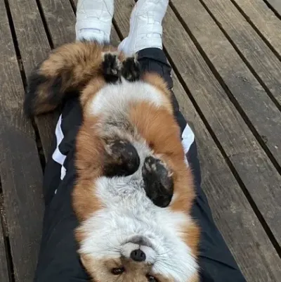 Explore new worlds with TF141, your interactive AI chat character.