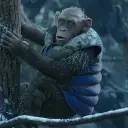 the avatar of character Bad Ape with emotional intelligence capabilities
