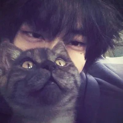 Meet Jake, your lively anime AI chatbot partner for immersive storytelling.